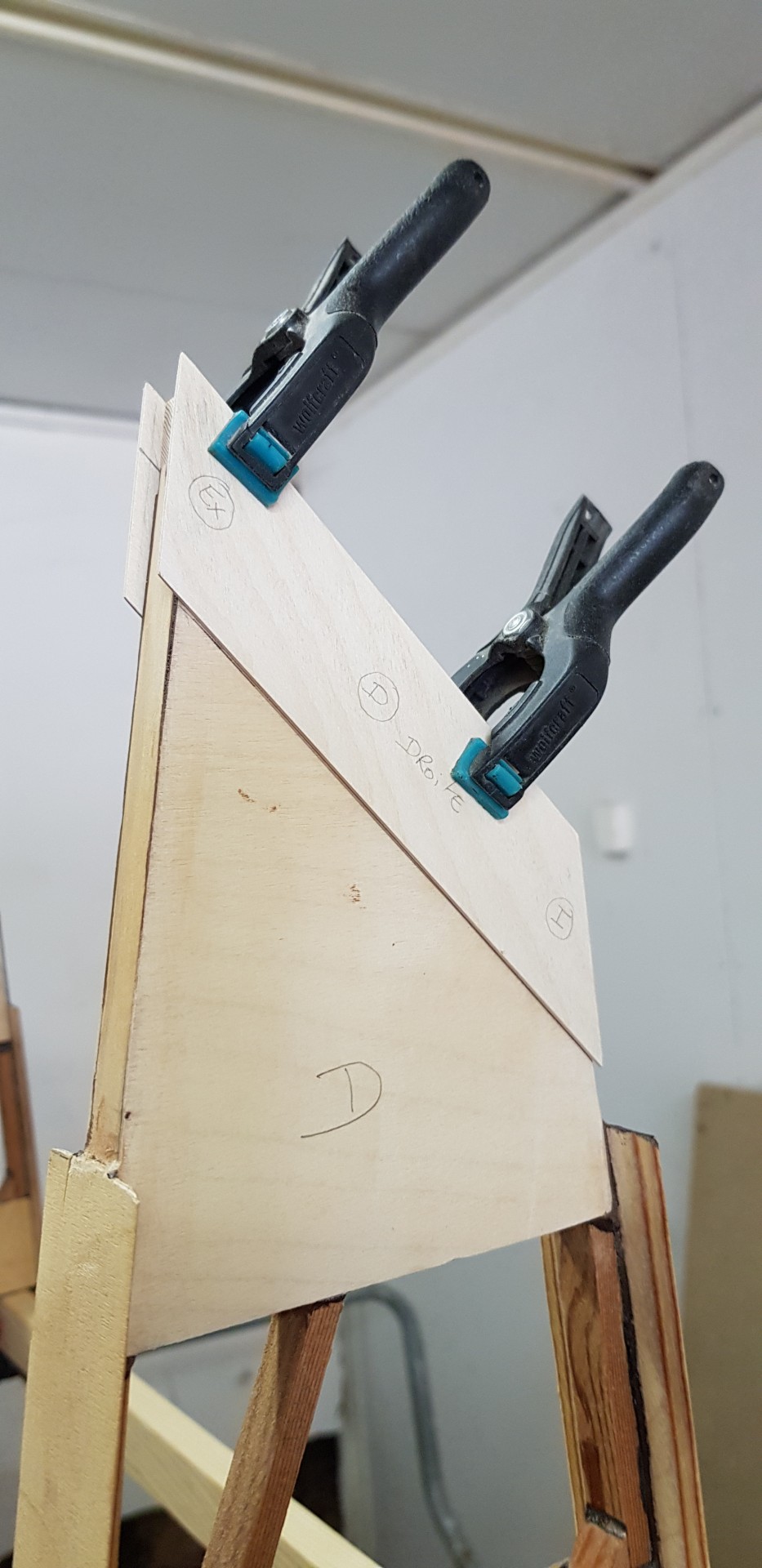 Vue d'une rallonge sur la queue de nervure.