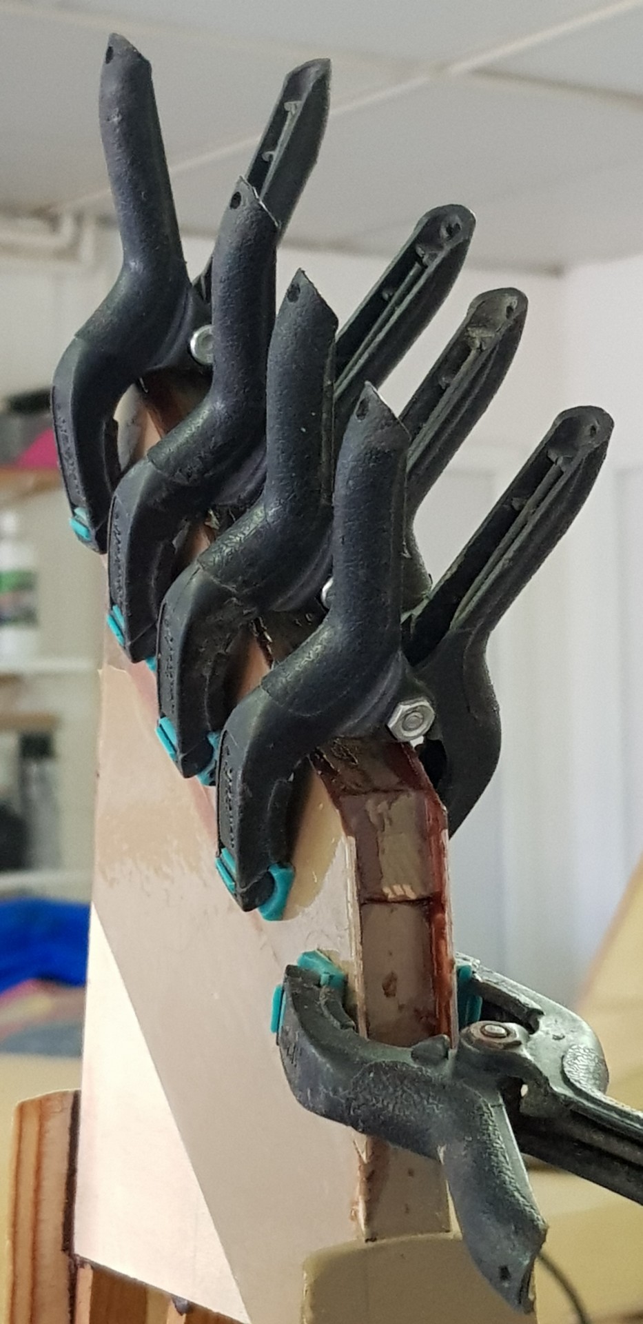 Collage vu côté intrados.