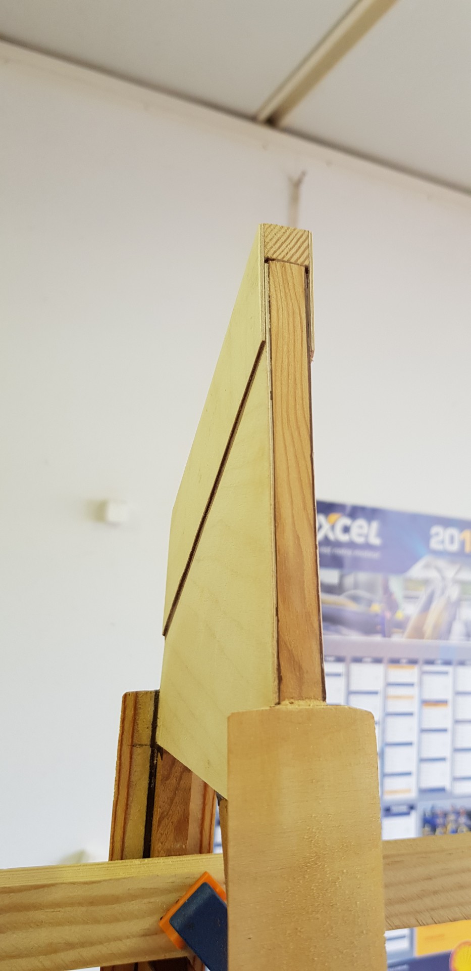 Gros plan sur une rallonge de nervure.