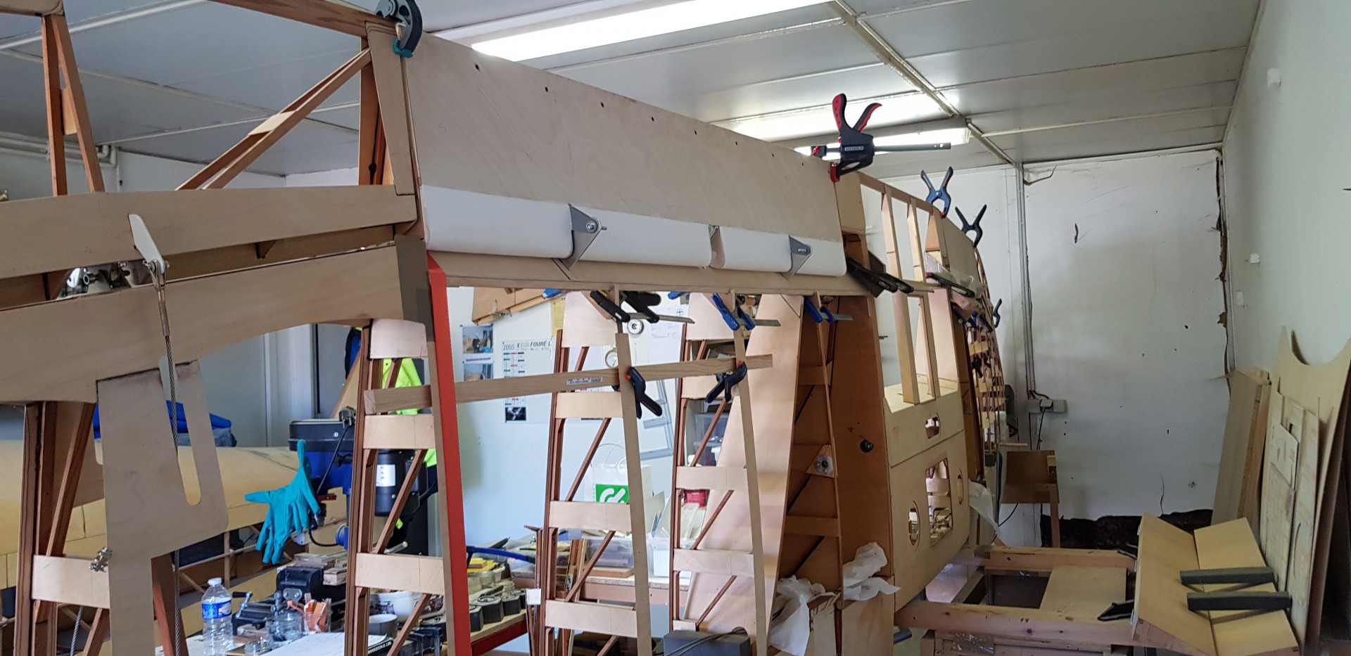 Aile complète côté intrados.